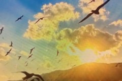 哈兰德制霸英超，进球如雨助力曼城夺冠之路